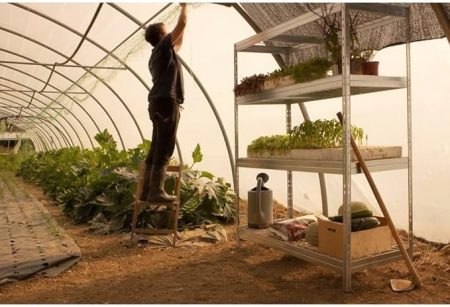 Value Outdoor Mesh Shelving 1800 x 900 x 450 - Image 3